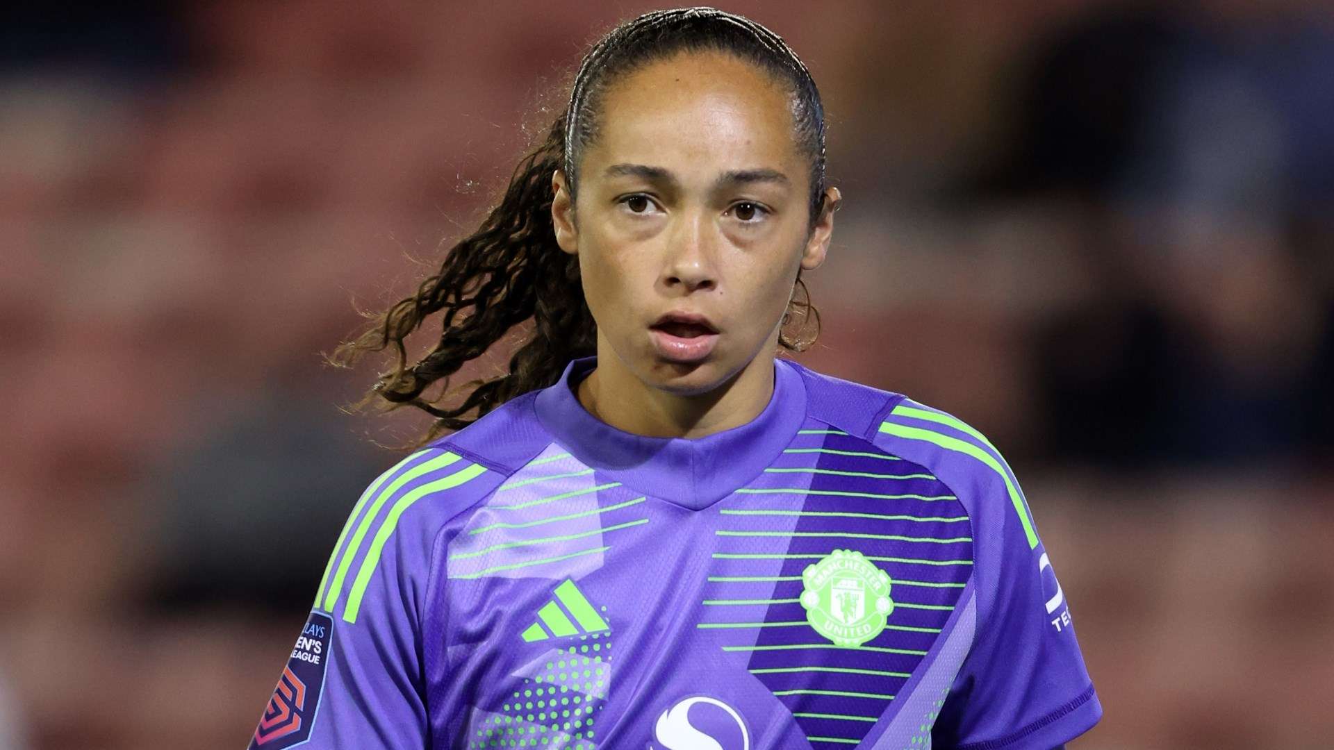 已然铺开 已然铺开