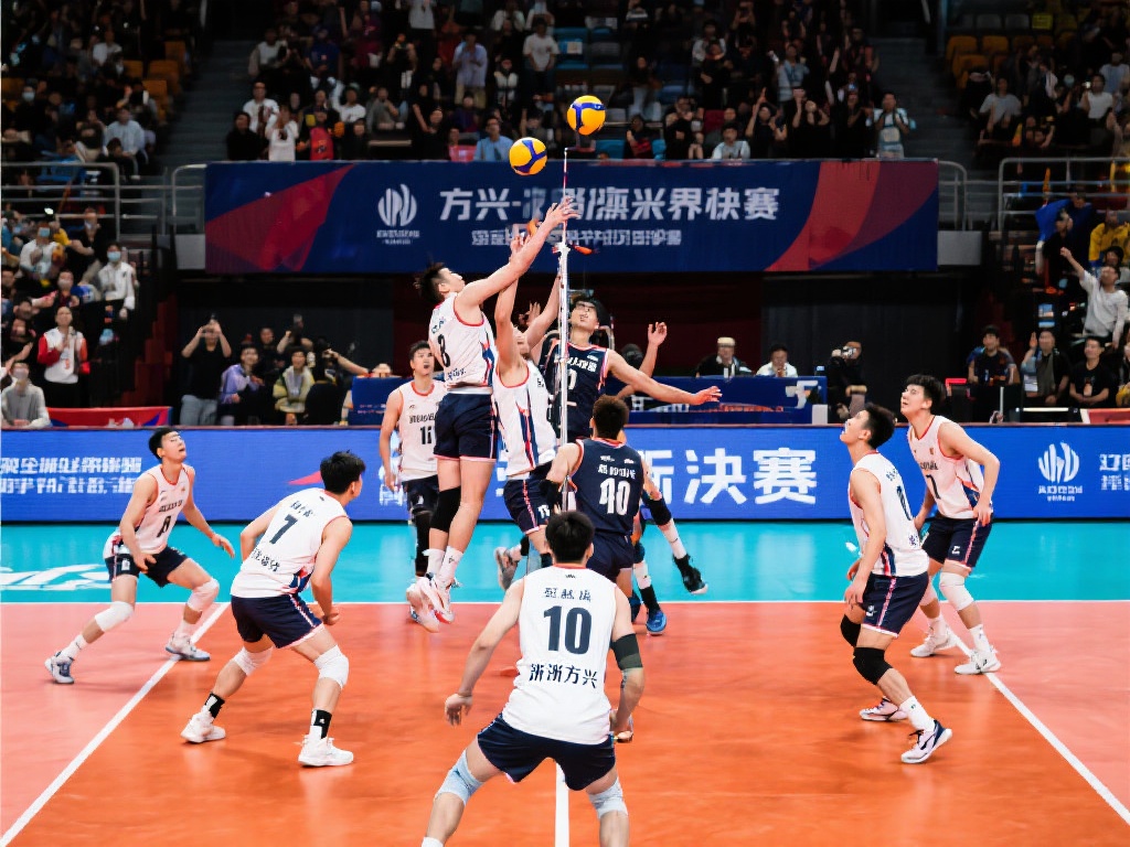 两者兼有 两者兼有